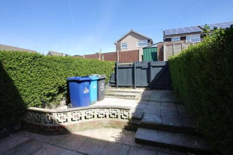 Back garden