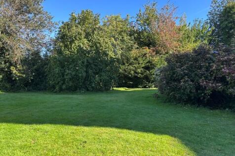 Property Image 44