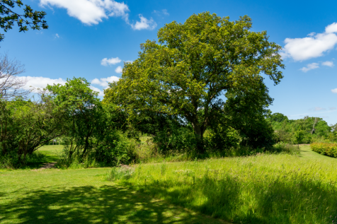 Surrounding Area