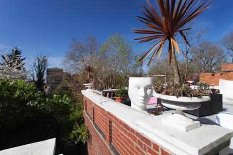 garden shot panoram .jpeg