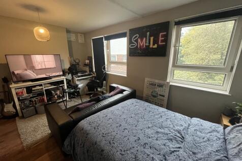 bedroom / living area