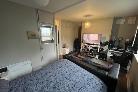 bedroom / living area