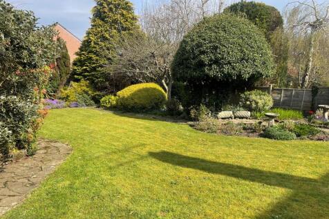 garden 4.jpg