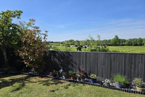 Garden1.JPG