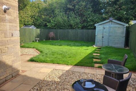 garden 3.jpg