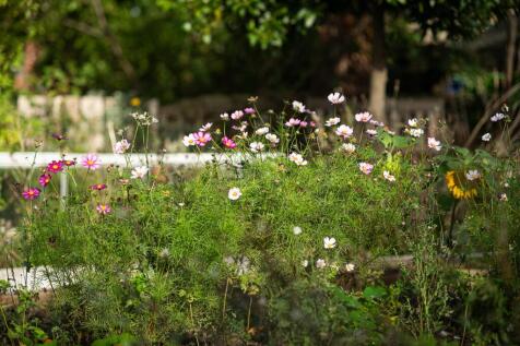 67 &amp; 68 Kington St Michael-5.jpg