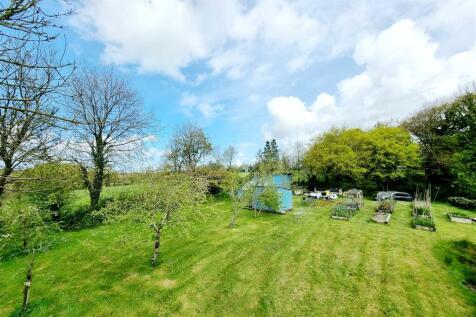 Elevated Orcvhard &amp; Veg patch.jpg