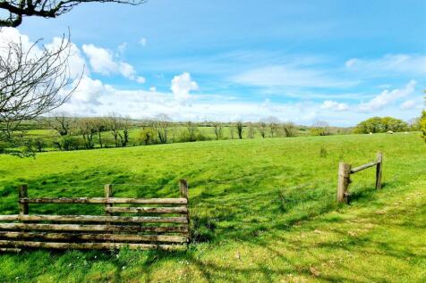 Field View.jpg