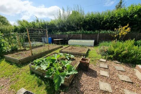 Veg patch.jpg