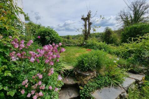 Front garden.jpg