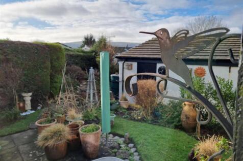 Garden Bird.jpg