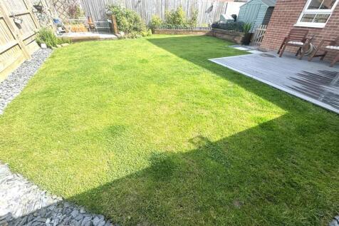 Lawn.jpg