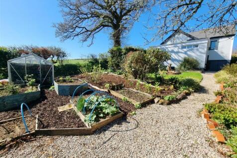 Veg garden.jpg