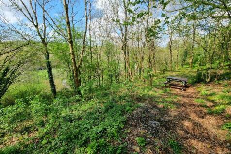 Copse 1