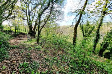 Copse 2