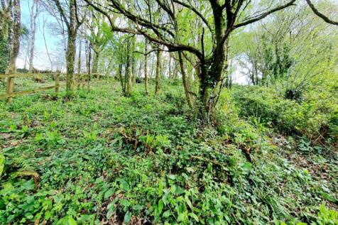 Copse
