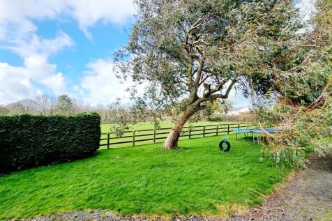 Front garden.jpg