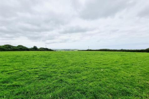 Fields.jpg