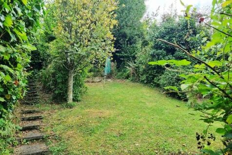 garden 3.jpg