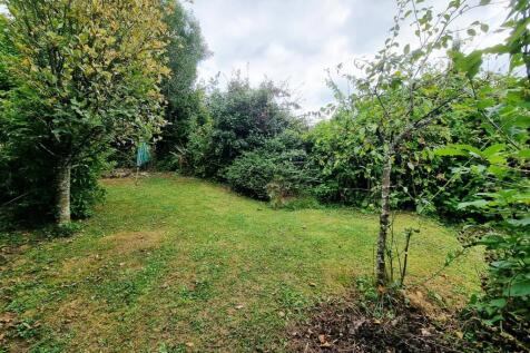 garden.jpg