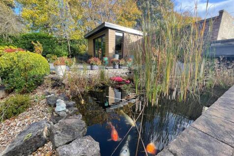 Fish Pond.jpg