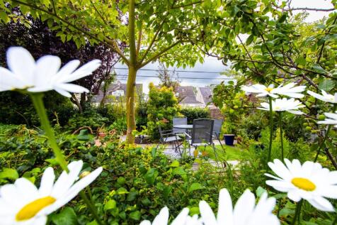 rear.garden.4.jpg