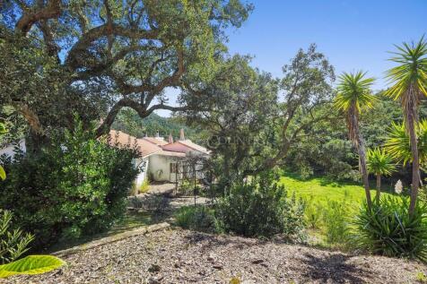 Property Image 35