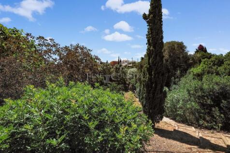 Property Image 67