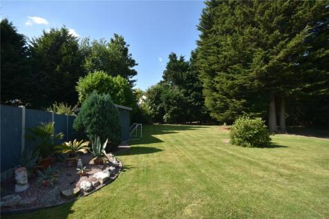 Extensive Lawn
