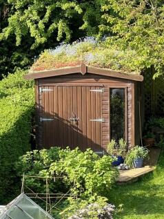 Garden 303.jpg