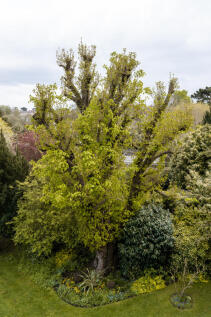 277785 - DSC05221.jpg
