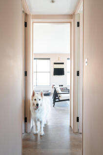 273530 - PAGNELL-STREET-038.jpg