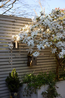 273619 - TMH_ST PAUL&#39;S CRESCENT_11.JPG