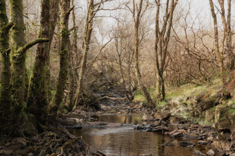 277062 - Tigh Na Dochaid, Isle Ornsay-25.jpg
