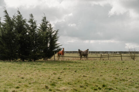 269753 - Hawkswell House Plot_High Res-28.jpg