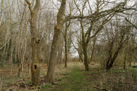 269807 - Hawkswell House Plot_High Res-56.jpg