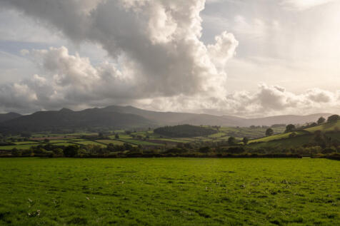236656 - TY-HEDFAN-TMH-38.jpg