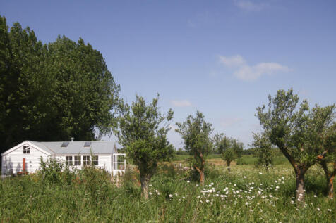 220488 - IMG_8102.jpg