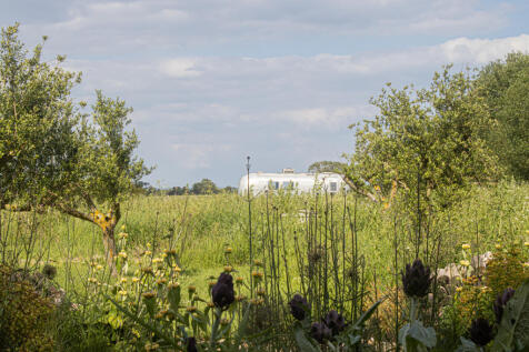 218231 - IMG_8155.jpg