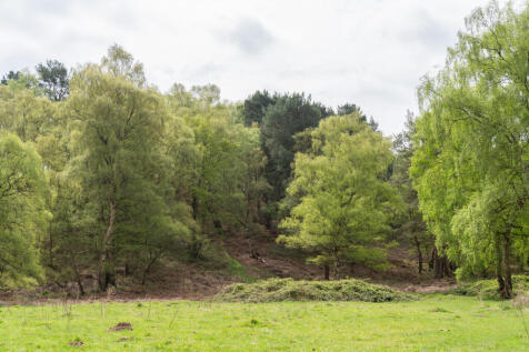 280801 - 6HighChaseRise_LittleHaywood_HighRes-7...