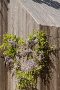 281285 - Gate_Farm_Barn_12.jpg