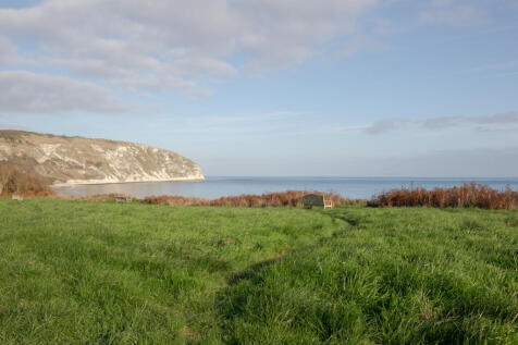243573 - Swanage - The Modern House-45.jpg