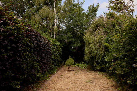 295024 - UPPER BROCKLEY ROAD_47.JPG