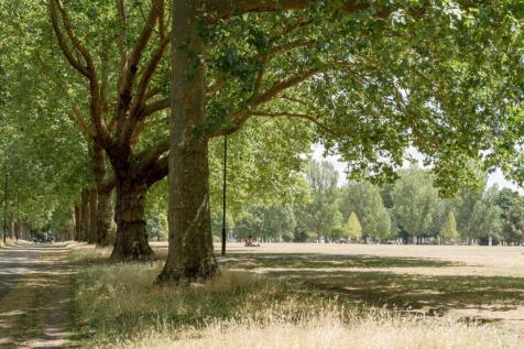 296595 - Maple Path, London E5 - high res-00510...