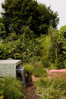 302528 - TMH_WHITTINGTON ROAD_74.JPG