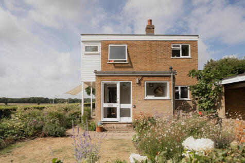 307341 - Seagulls, Walberswick-17.jpg