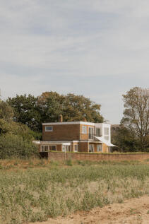 307329 - Seagulls, Walberswick-5.jpg