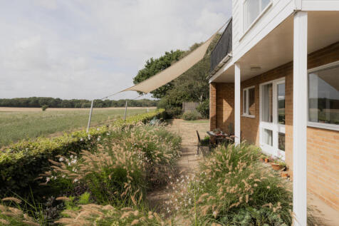 307343 - Seagulls, Walberswick-19.jpg