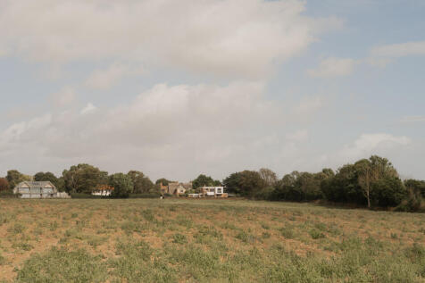 307372 - Seagulls, Walberswick-48.jpg