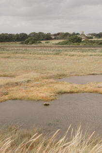 307330 - Seagulls, Walberswick-6.jpg